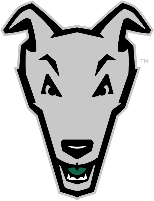 Loyola-Maryland Greyhounds 2011-Pres Alternate Logo DIY iron on transfer (heat transfer)
